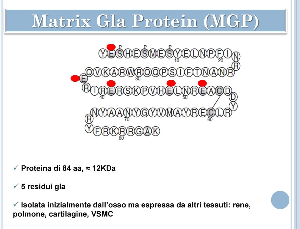 inizialmente dall osso ma espressa da