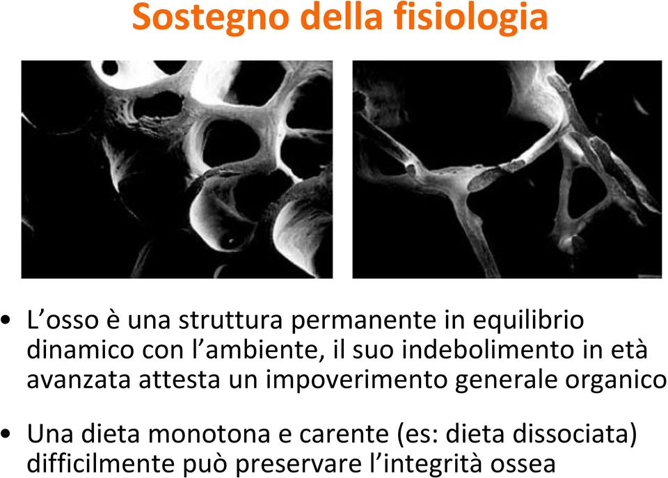 avanzata attesta un impoverimento generale organico Una dieta