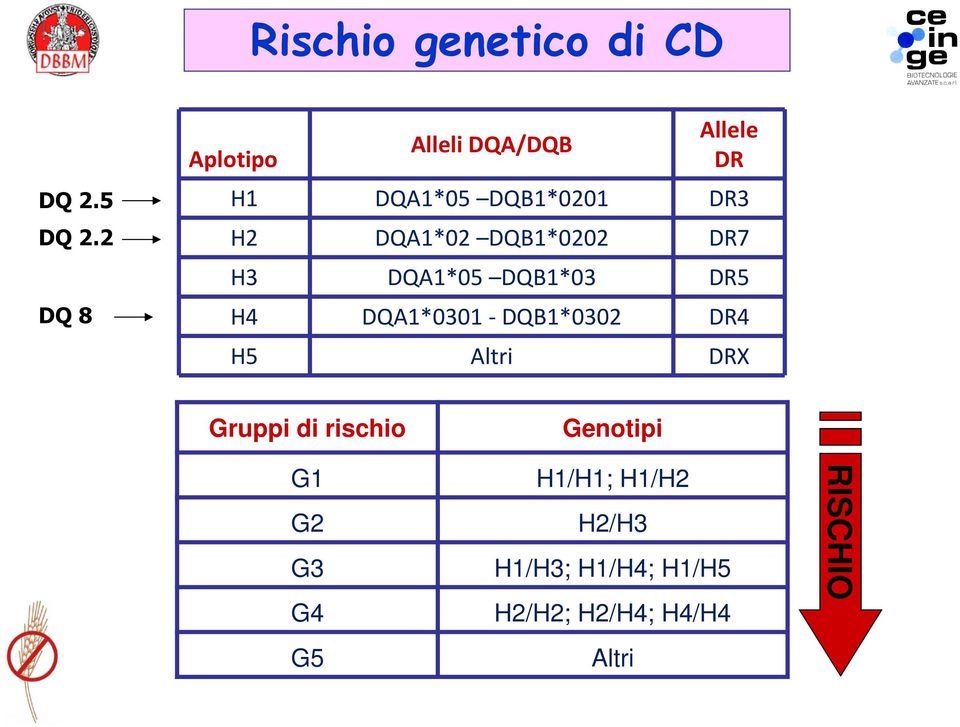 DQB1*0202 DR7 H3 DQA1*05 DQB1*03 DR5 H4 DQA1*0301 - DQB1*0302 DR4 H5 Altri