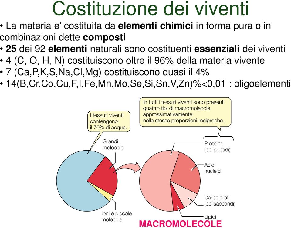 viventi 4 (C, O,, N) costituiscono oltre il 96% della materia vivente 7 (Ca,P,K,S,Na,Cl,Mg)