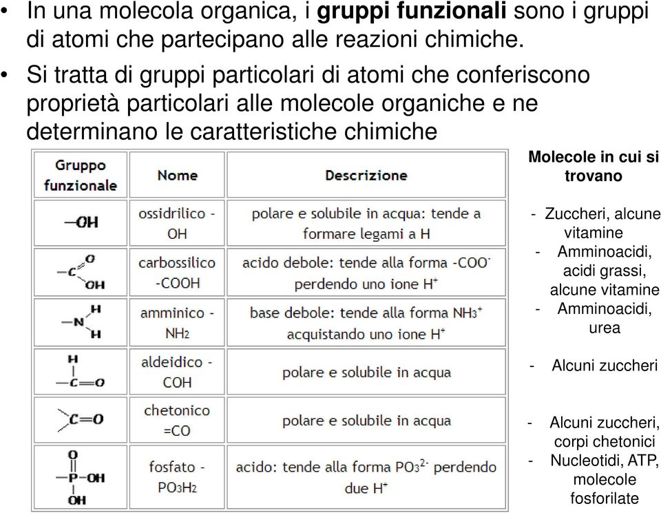 determinano le caratteristiche chimiche Molecole in cui si trovano - Zuccheri, alcune vitamine - Amminoacidi, acidi