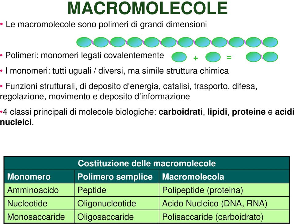 classi principali di molecole biologiche: carboidrati, lipidi, proteine e acidi nucleici.