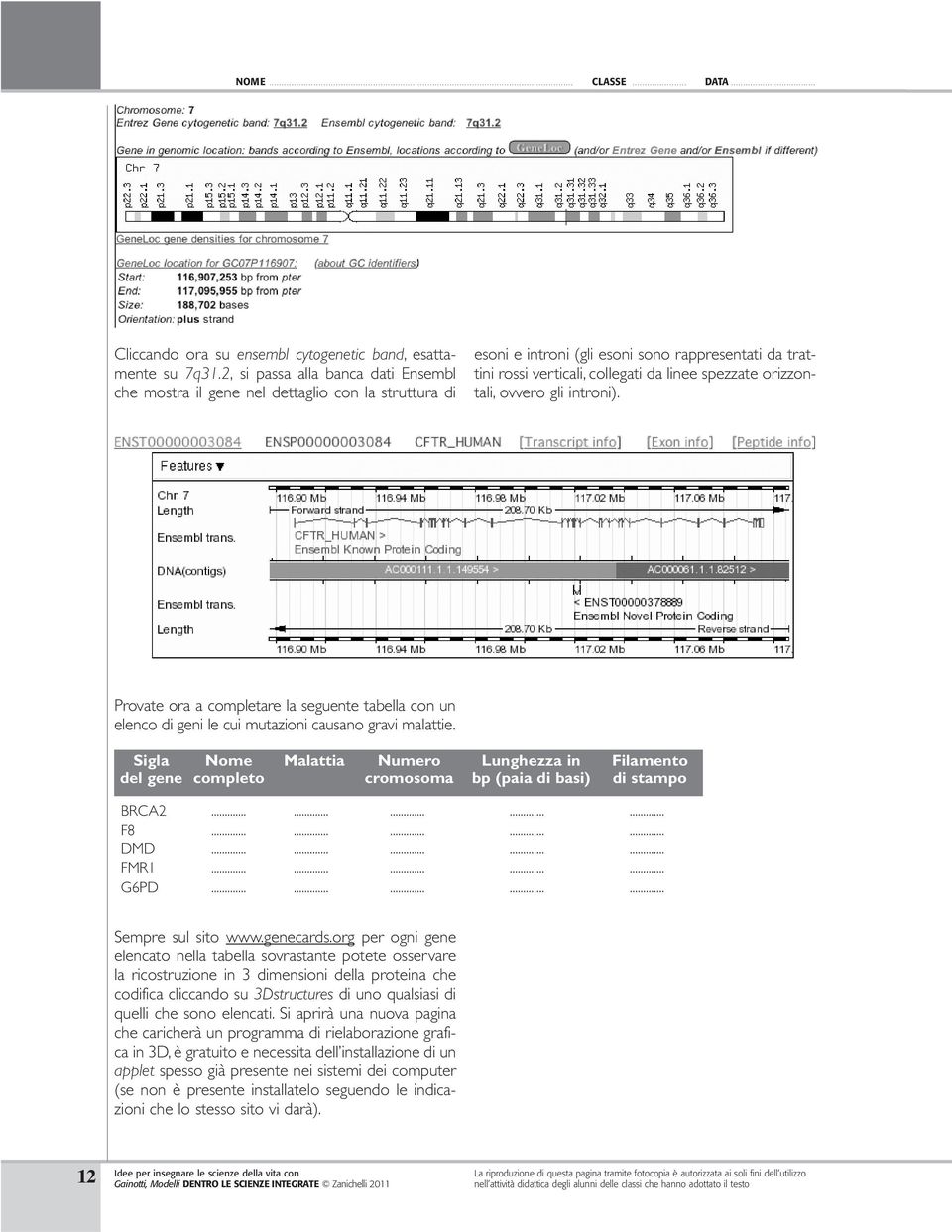 orizzontali, ovvero gli introni). Provate ora a completare la seguente tabella con un elenco di geni le cui mutazioni causano gravi malattie.