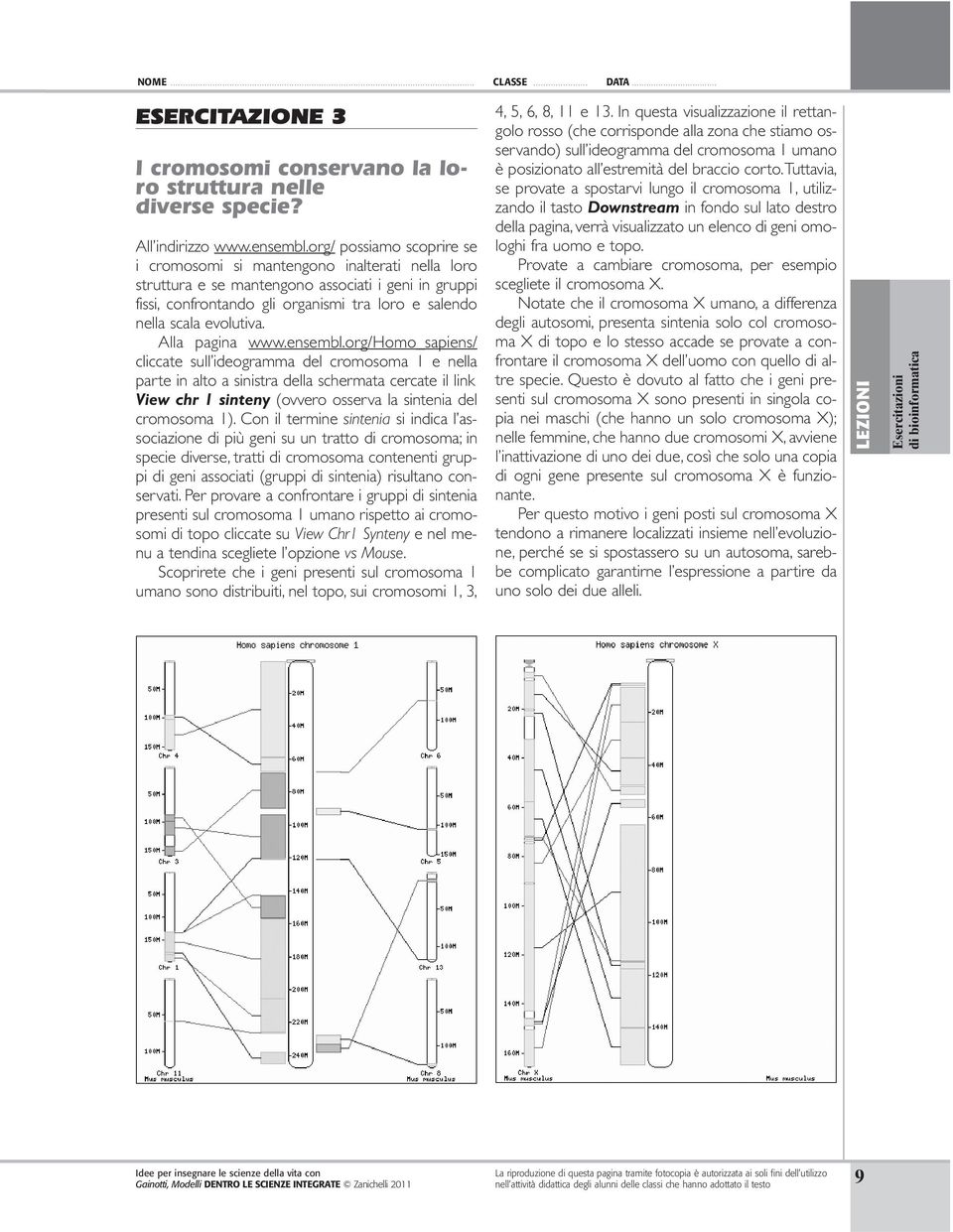 evolutiva. Alla pagina www.ensembl.