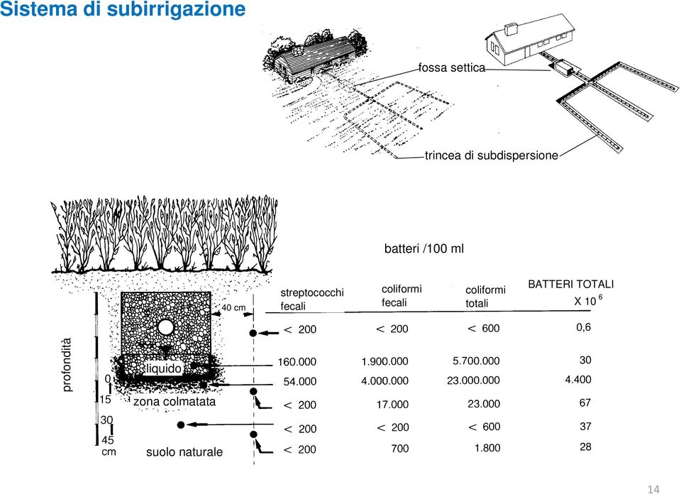 fecali coliformi fecali coliformi totali BATTERI