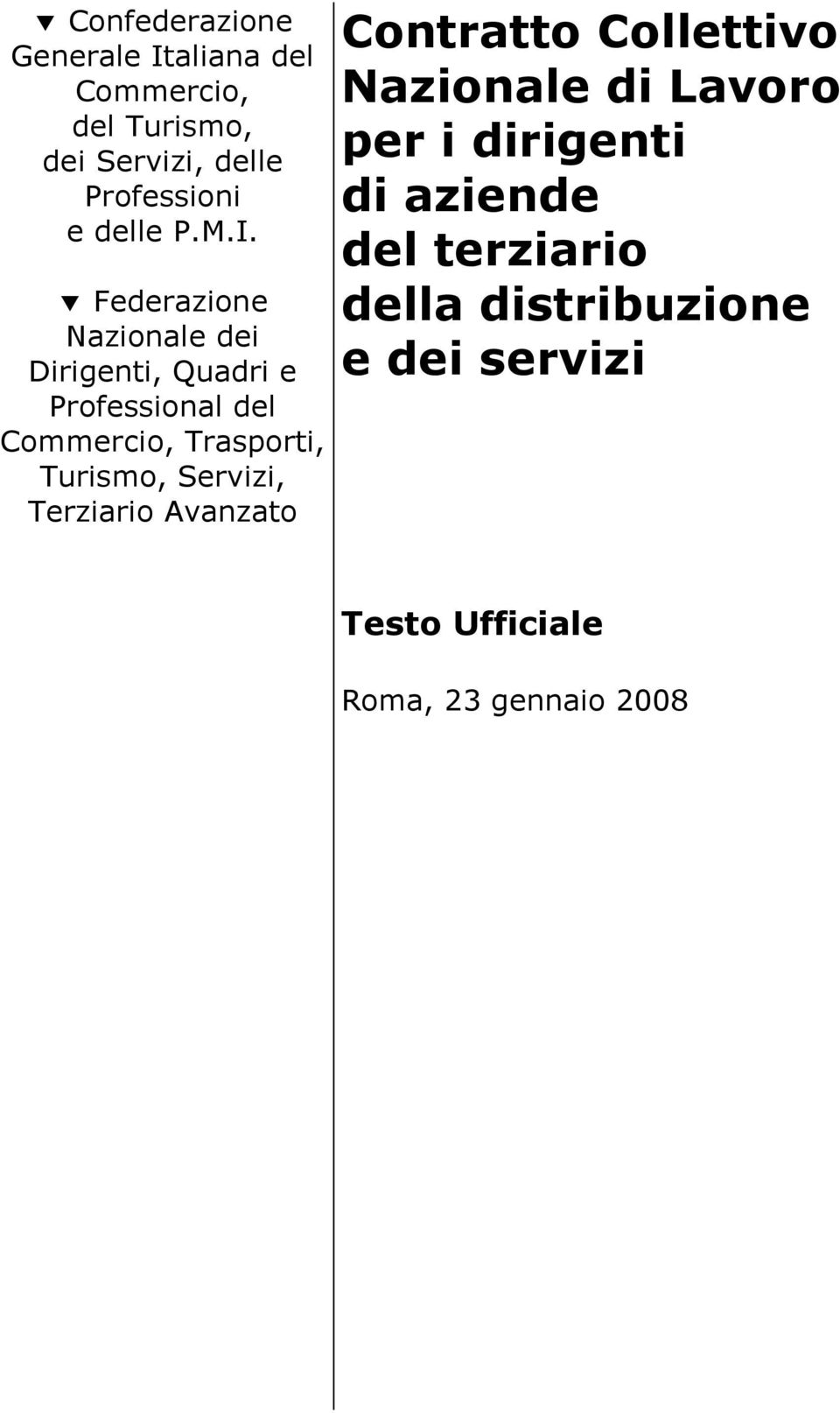 Federazione Nazionale dei Dirigenti, Quadri e Professional del Commercio, Trasporti, Turismo,