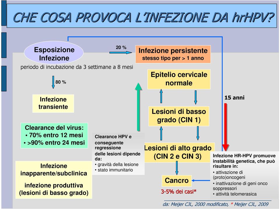 virus: 70% entro 12 mesi >90% entro 24 mesi Infezione inapparente/subclinica infezione produttiva (lesioni di basso grado) Clearance HPV e conseguente regressione delle lesioni dipende da: