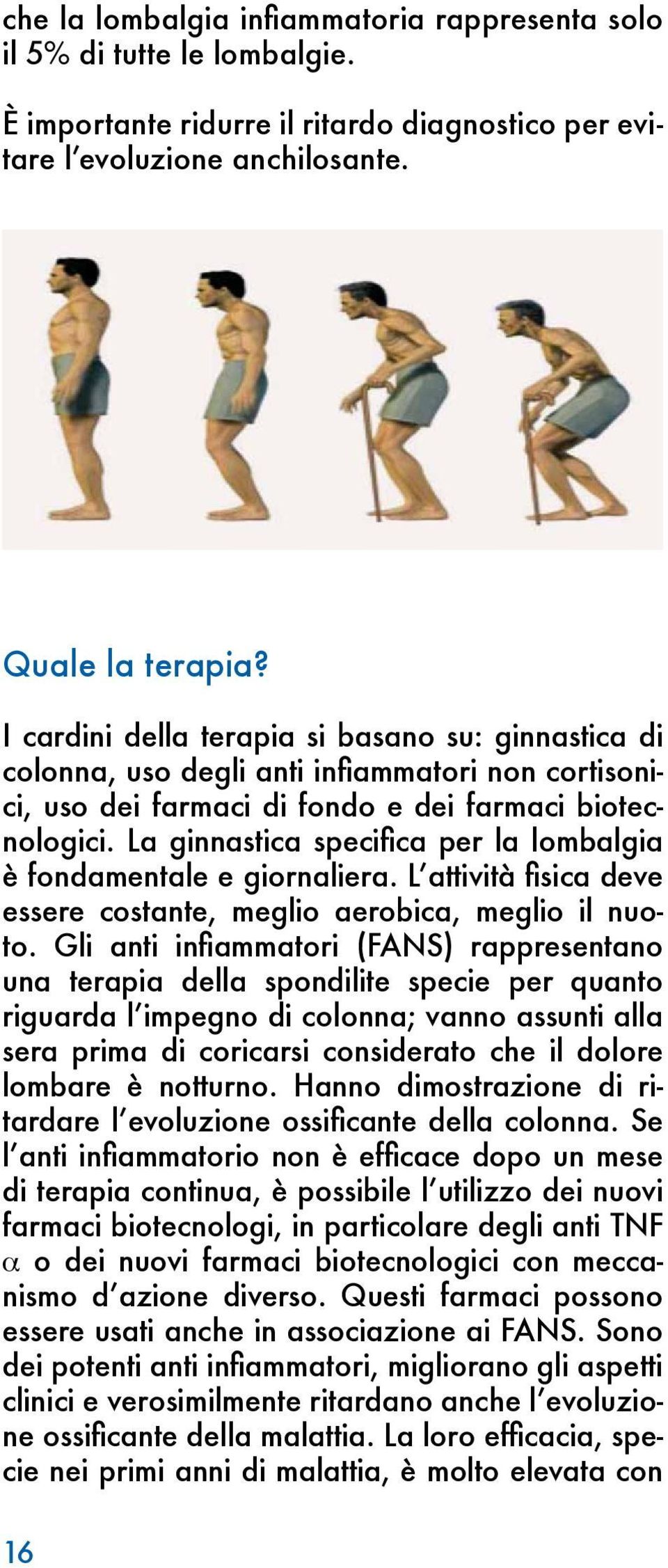 La ginnastica specifica per la lombalgia è fondamentale e giornaliera. L attività fisica deve essere costante, meglio aerobica, meglio il nuoto.