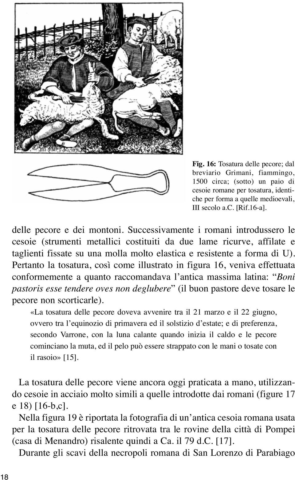 Successivamente i romani introdussero le cesoie (strumenti metallici costituiti da due lame ricurve, affilate e taglienti fissate su una molla molto elastica e resistente a forma di U).