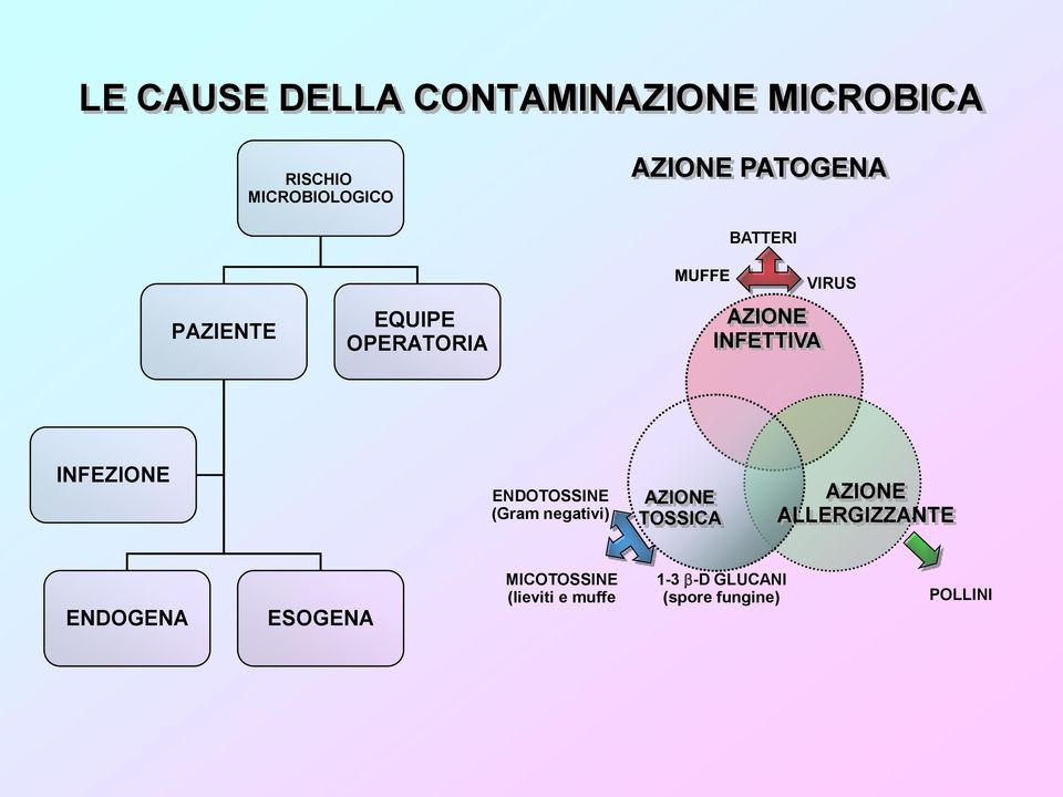 INFEZIONE ENDOTOSSINE (Gram negativi) AZIONE TOSSICA AZIONE ALLERGIZZANTE