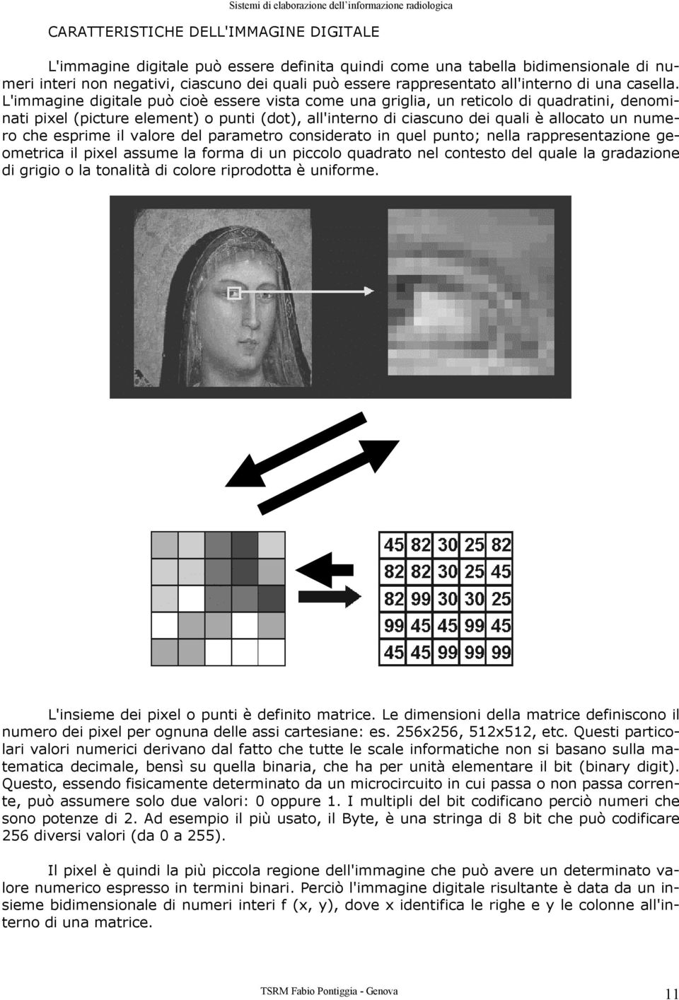 L'immagine digitale può cioè essere vista come una griglia, un reticolo di quadratini, denominati pixel (picture element) o punti (dot), all'interno di ciascuno dei quali è allocato un numero che