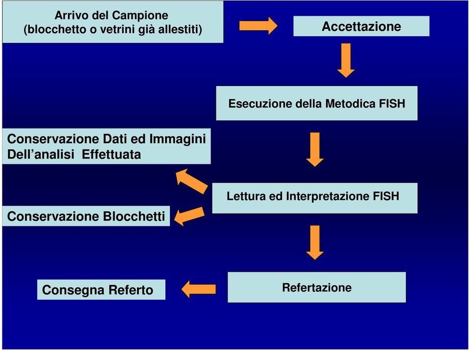 Dati ed Immagini Dell analisi Effettuata Conservazione