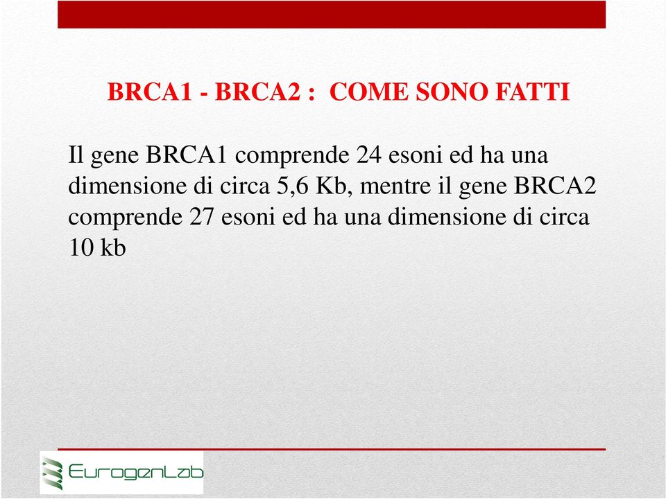 dimensione di circa 5,6 Kb, mentre il gene