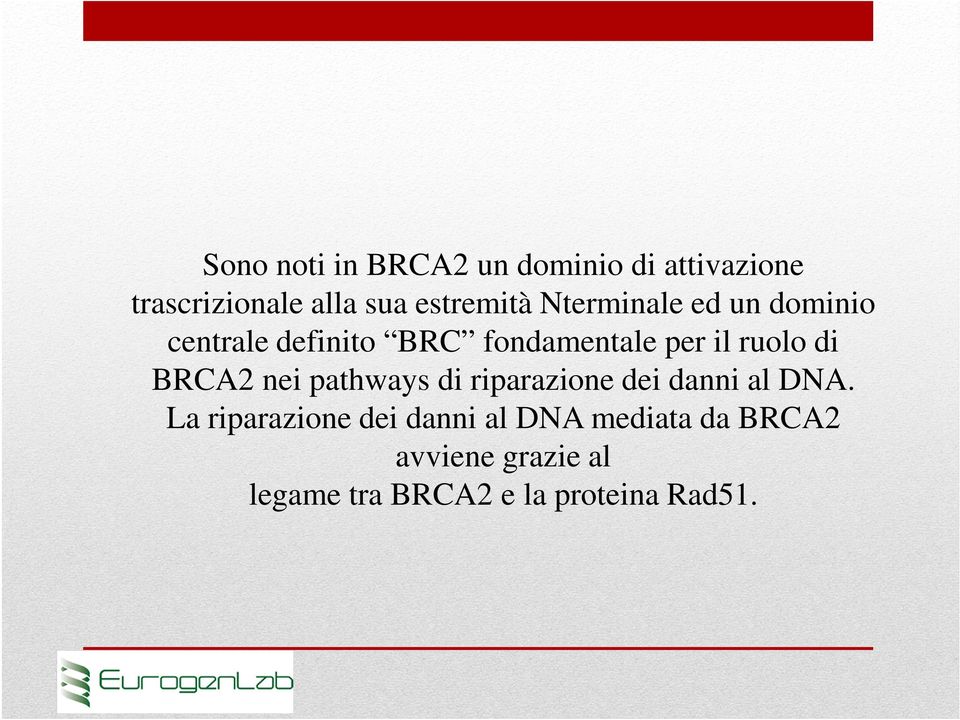 ruolo di BRCA2 nei pathways di riparazione dei danni al DNA.