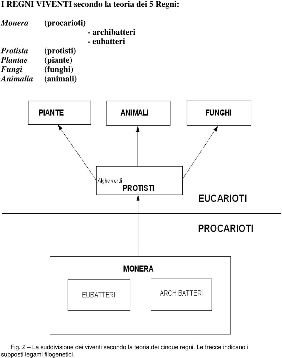 archibatteri - eubatteri Fig.