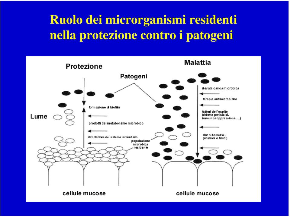 residenti nella