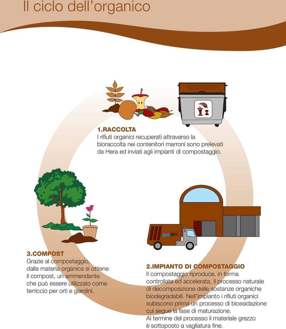COMPOST Grazie al compostaggio, dalla materia organica si ottiene il compost, un ammendante che può essere utilizzato come terriccio per orti e giardini. 2.
