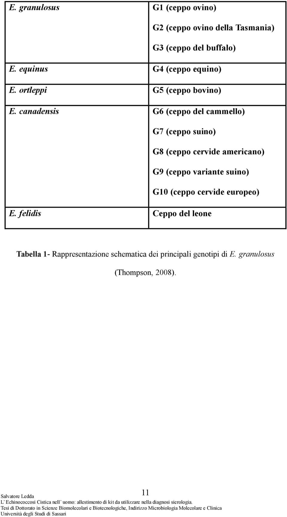 canadensis G6 (ceppo del cammello) G7 (ceppo suino) G8 (ceppo cervide americano) G9 (ceppo variante