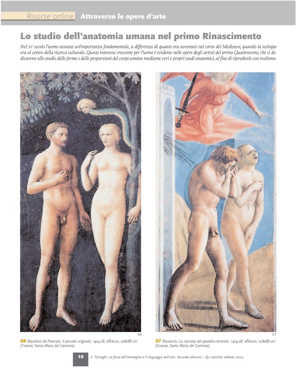 Questo interesse crescente per l uomo è evidente nelle opere degli artisti del primo Quattrocento, che si dedicarono allo studio delle forme e delle proporzioni del corpo umano mediante