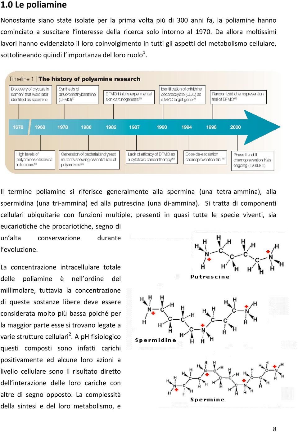 Il termine poliamine si riferisce generalmente alla spermina (una tetra ammina), alla spermidina (una tri ammina) ed alla putrescina (una di ammina).