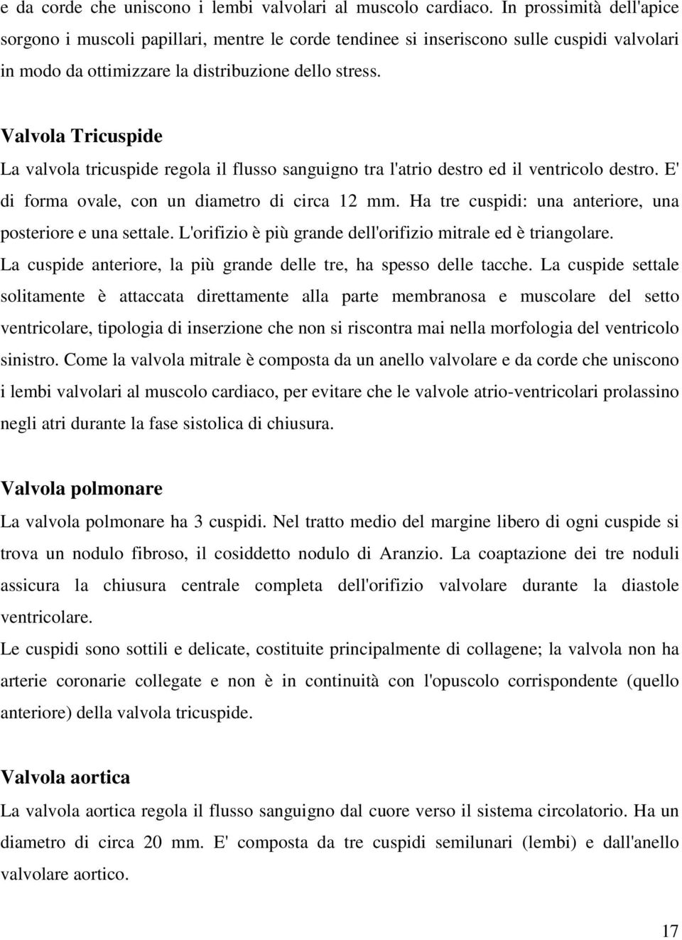 Valvola Tricuspide La valvola tricuspide regola il flusso sanguigno tra l'atrio destro ed il ventricolo destro. E' di forma ovale, con un diametro di circa 1 mm.