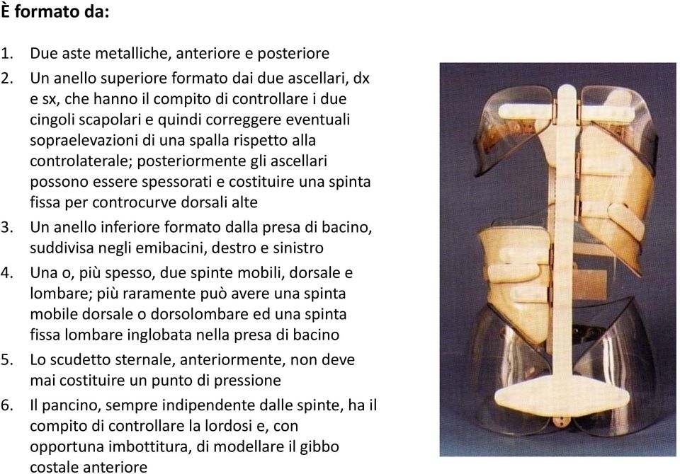 controlaterale; posteriormente gli ascellari possono essere spessorati e costituire una spinta fissa per controcurve dorsali alte 3.