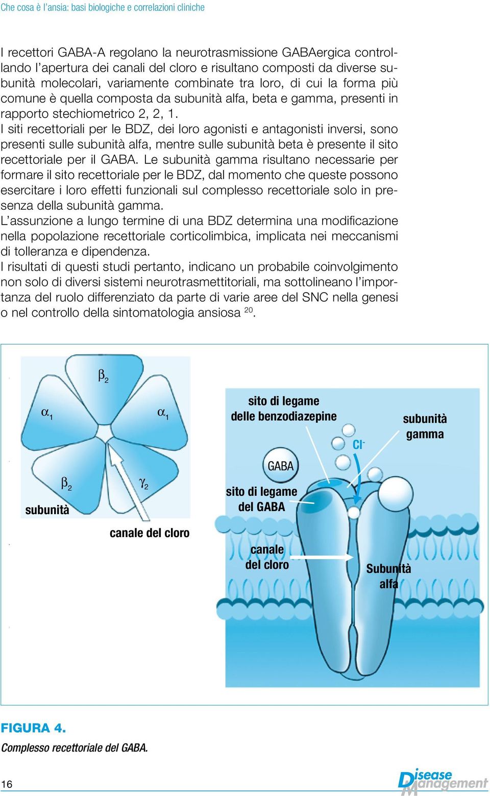 I siti recettoriali per le BDZ, dei loro agonisti e antagonisti inversi, sono presenti sulle subunità alfa, mentre sulle subunità beta è presente il sito recettoriale per il GABA.