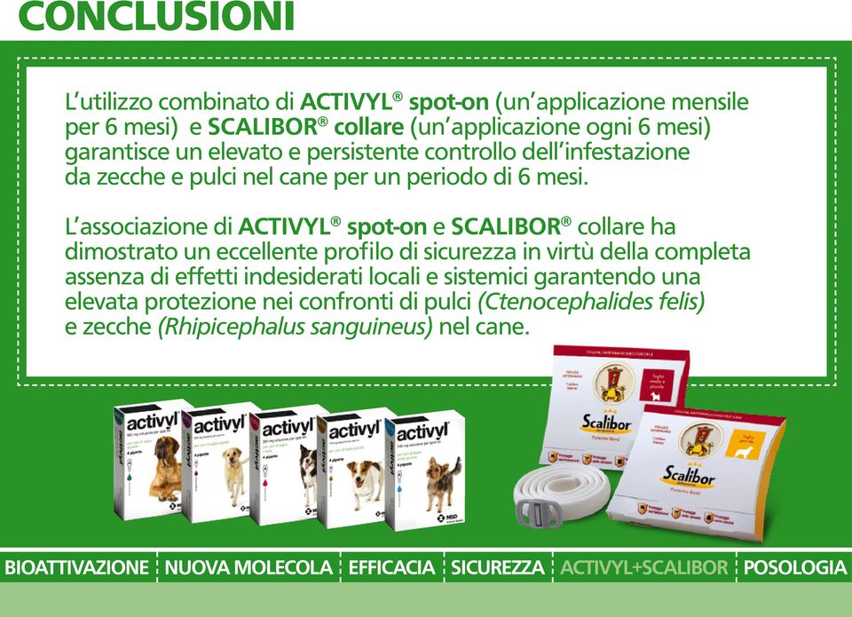 L associazione di ACTIVYL spot-on e SCALIBOR collare ha dimostrato un eccellente profilo di sicurezza in virtù della completa assenza di