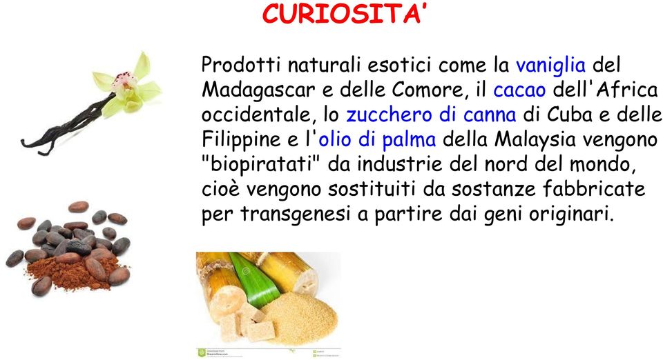 di palma della Malaysia vengono "biopiratati" da industrie del nord del mondo, cioè