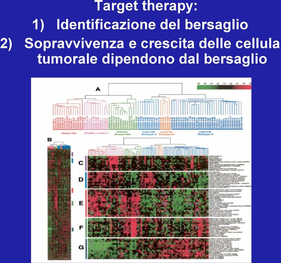 2) Sopravvivenza e crescita