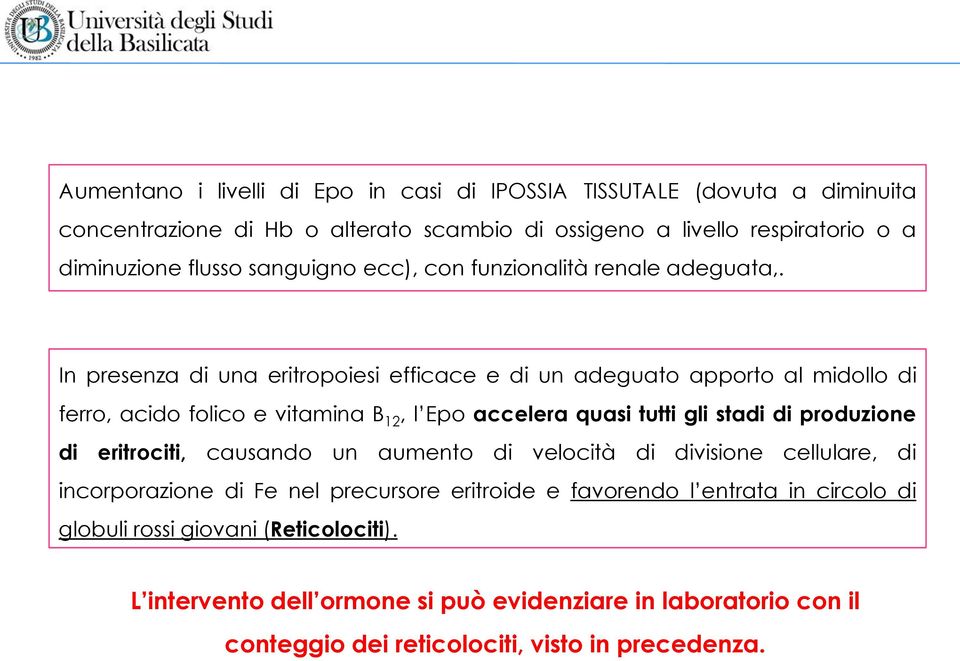 In presenza di una eritropoiesi efficace e di un adeguato apporto al midollo di ferro, acido folico e vitamina B 12, l Epo accelera quasi tutti gli stadi di produzione di