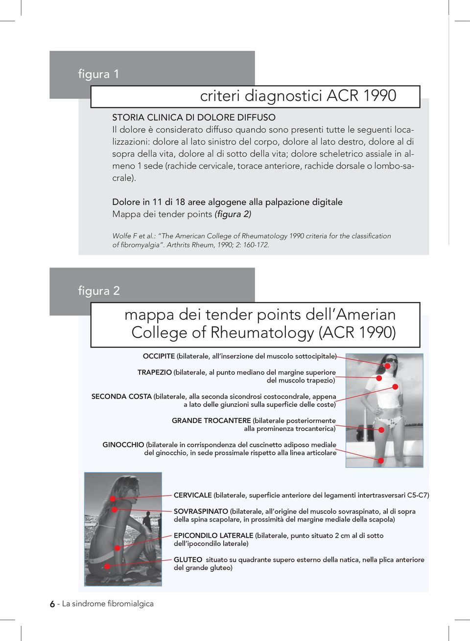 Dolore in 11 di 18 aree algogene alla palpazione digitale Mappa dei tender points (figura 2) Wolfe F et al.: The American College of Rheumatology 1990 criteria for the classification of fibromyalgia.