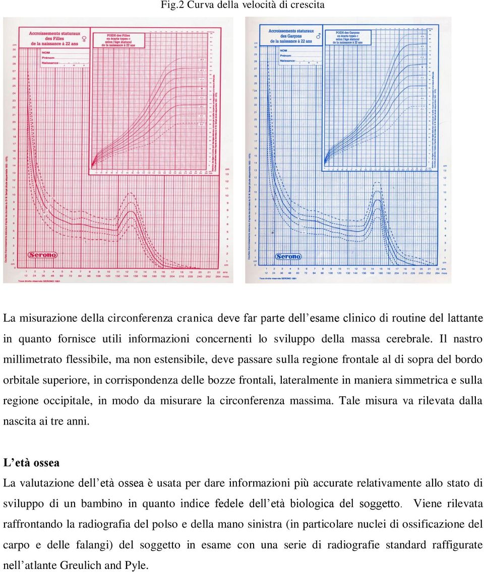 Il nastro millimetrato flessibile, ma non estensibile, deve passare sulla regione frontale al di sopra del bordo orbitale superiore, in corrispondenza delle bozze frontali, lateralmente in maniera