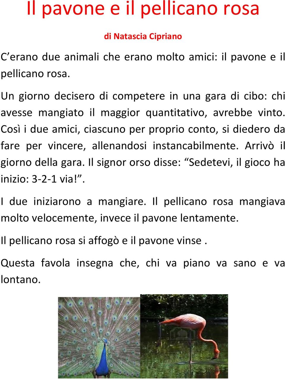 Così i due amici, ciascuno per proprio conto, si diedero da fare per vincere, allenandosi instancabilmente. Arrivò il giorno della gara.