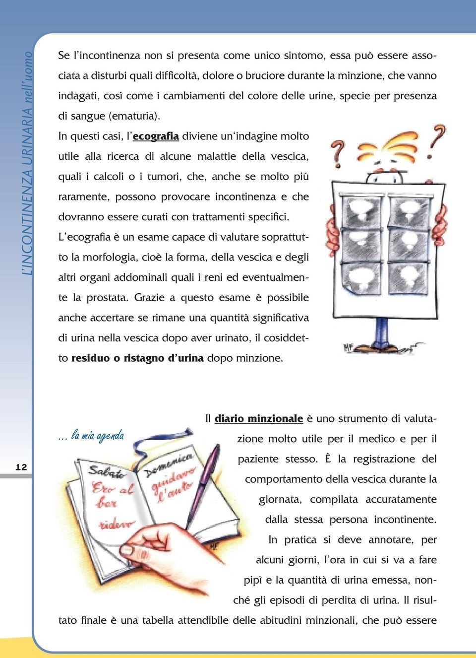 In questi casi, l ecografia diviene un indagine molto utile alla ricerca di alcune malattie della vescica, quali i calcoli o i tumori, che, anche se molto più raramente, possono provocare