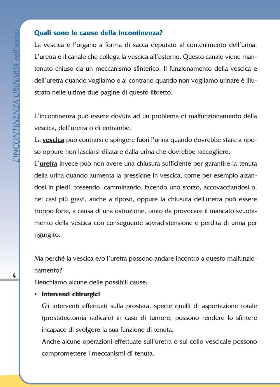 Il funzionamento della vescica e dell uretra quando vogliamo o al contrario quando non vogliamo urinare è illustrato nelle ultime due pagine di questo libretto.