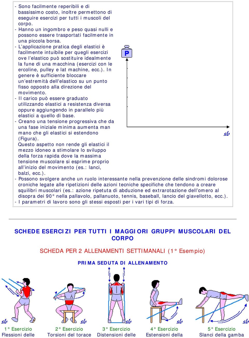 - L applicazione pratica degli elastici è facilmente intuibile per quegli esercizi ove l elastico può sostituire idealmente la fune di una macchina (esercizi con le ercoline, pulley e lat machine,