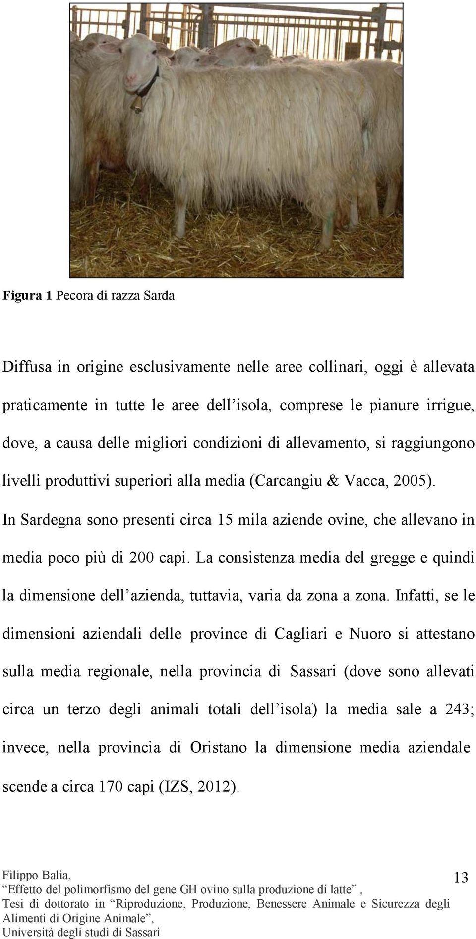 In Sardegna sono presenti circa 15 mila aziende ovine, che allevano in media poco più di 200 capi. La consistenza media del gregge e quindi la dimensione dell azienda, tuttavia, varia da zona a zona.