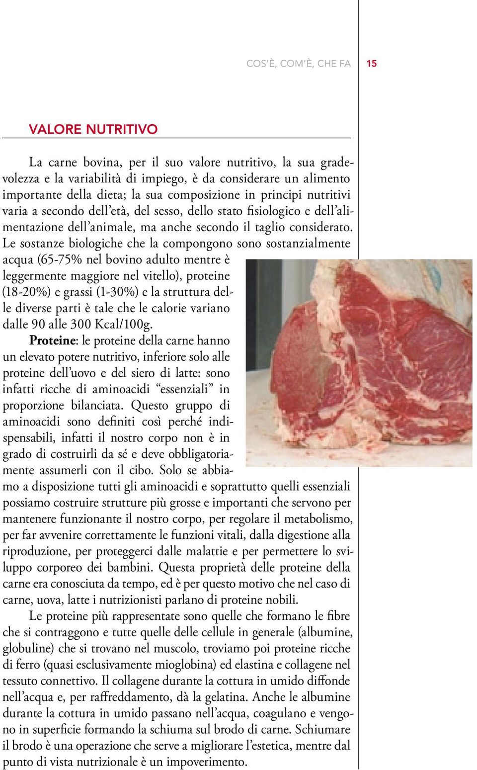 Le sostanze biologiche che la compongono sono sostanzialmente acqua (65-75% nel bovino adulto mentre è leggermente maggiore nel vitello), proteine (18-20%) e grassi (1-30%) e la struttura delle