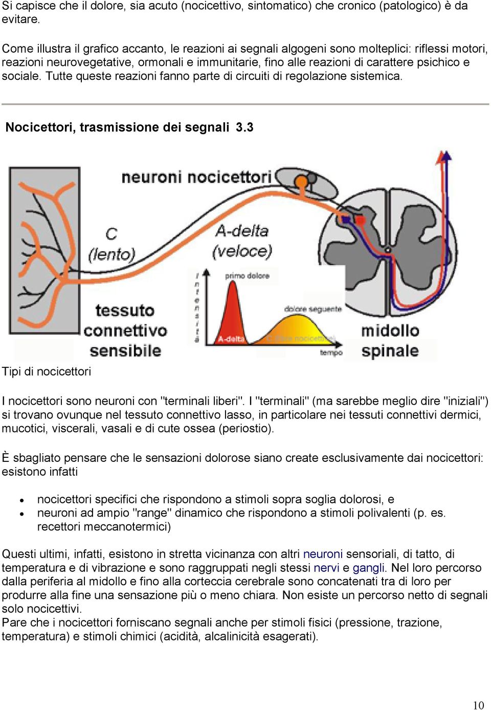 sociale. Tutte queste reazioni fanno parte di circuiti di regolazione sistemica. Nocicettori, trasmissione dei segnali 3.3 Tipi di nocicettori I nocicettori sono neuroni con "terminali liberi".