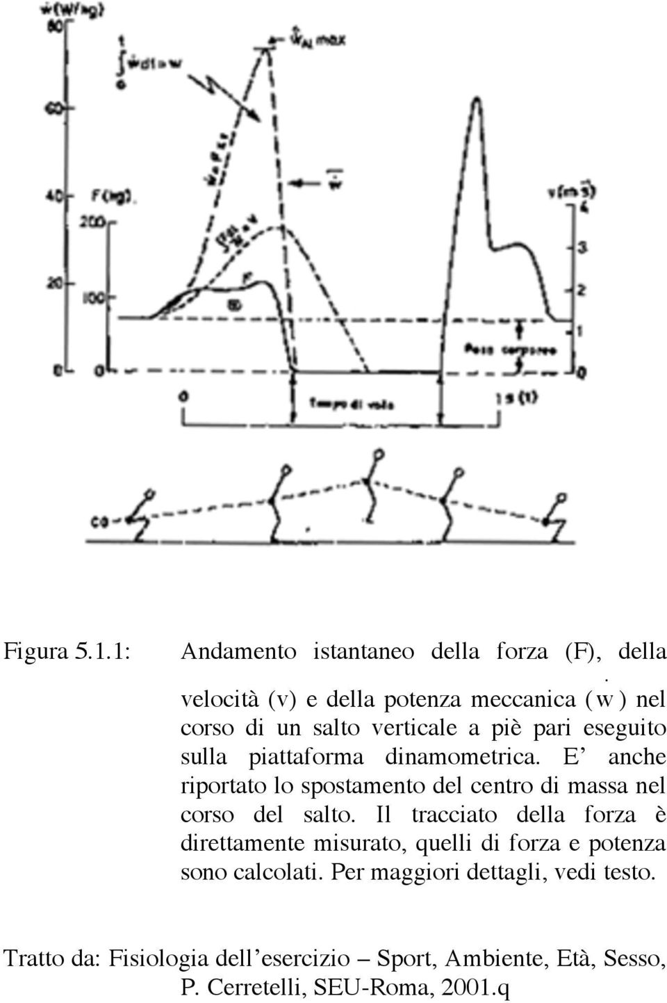 dinamometrica. E anche riportato lo spostamento del centro di massa nel corso del salto.