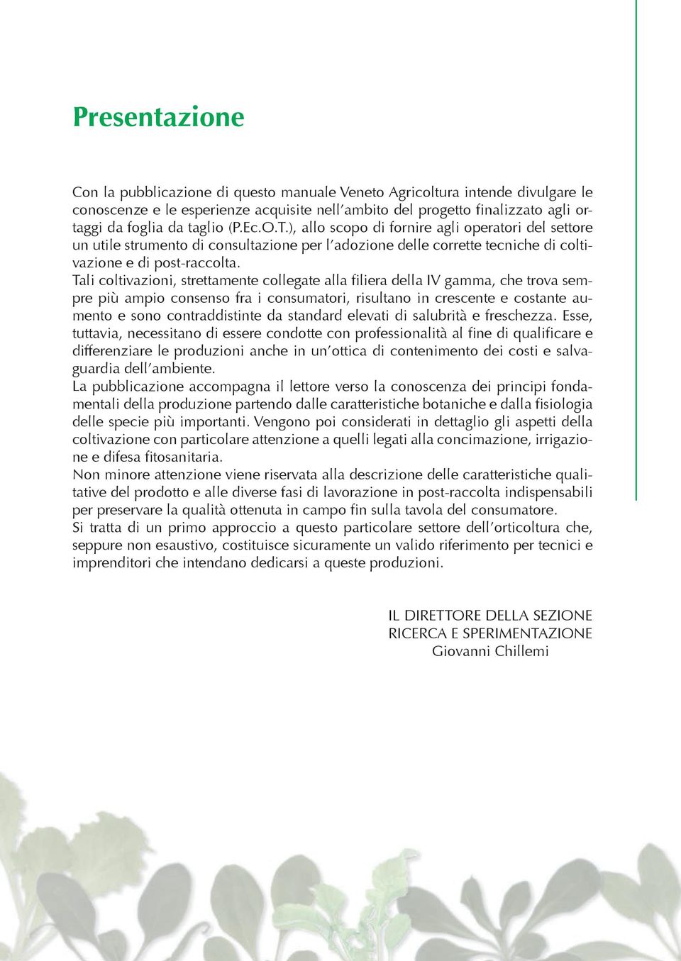 Tali coltivazioni, strettamente collegate alla filiera della IV gamma, che trova sempre più ampio consenso fra i consumatori, risultano in crescente e costante aumento e sono contraddistinte da