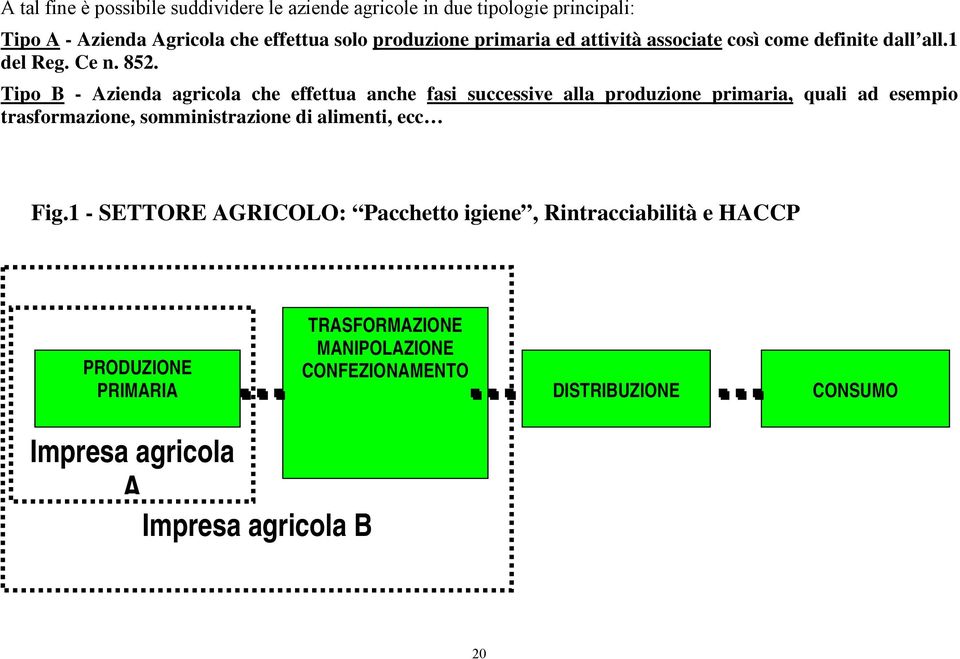 Tipo B - Azienda agricola che effettua anche fasi successive alla produzione primaria, quali ad esempio trasformazione, somministrazione di