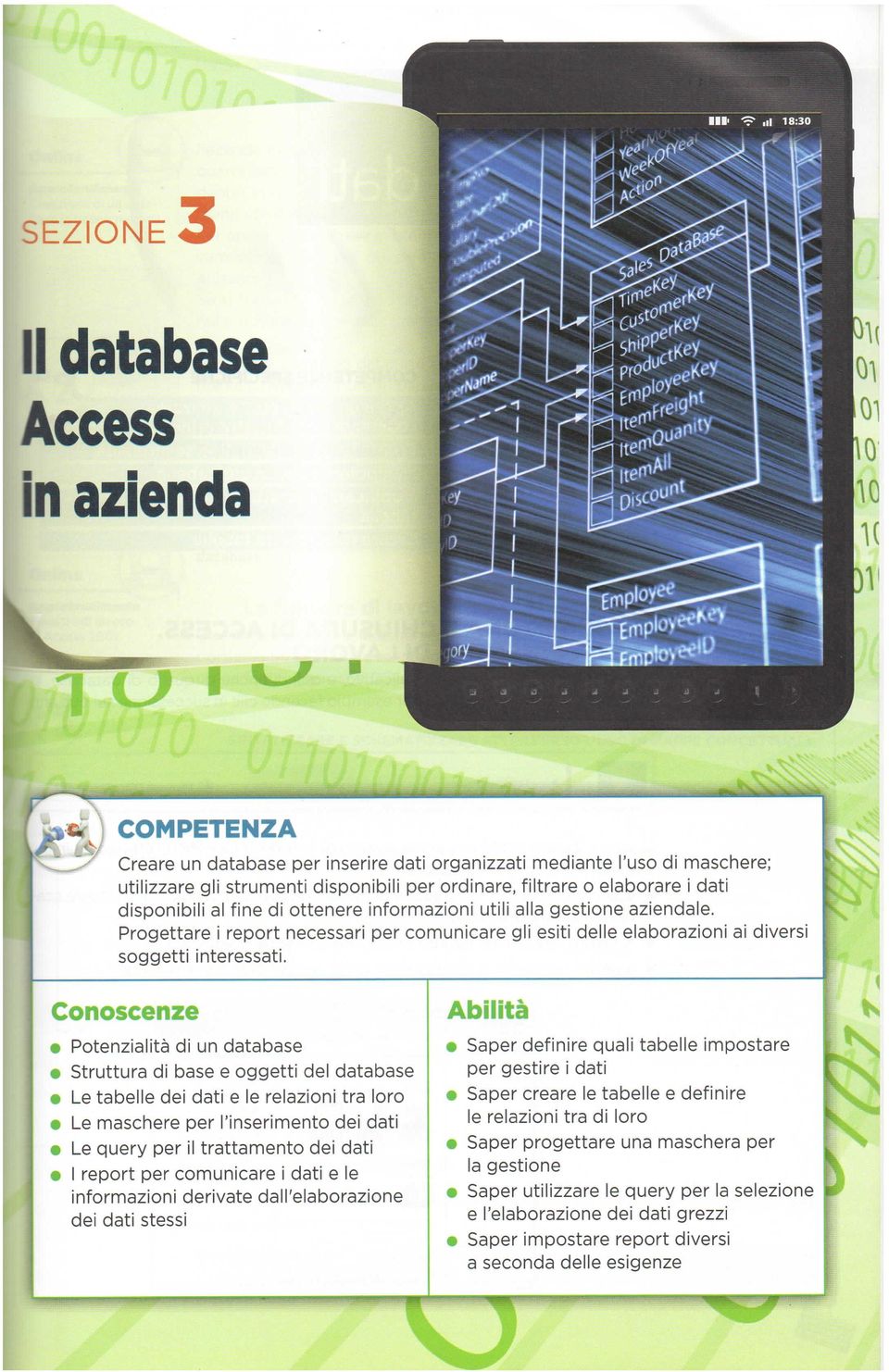 Conoscenze Potenzialità di un database Struttura di base e oggetti del database Le tabelle dei dati e le relazioni tra loro Le maschere per l'inserimento dei dati Le query per il trattamento dei dati