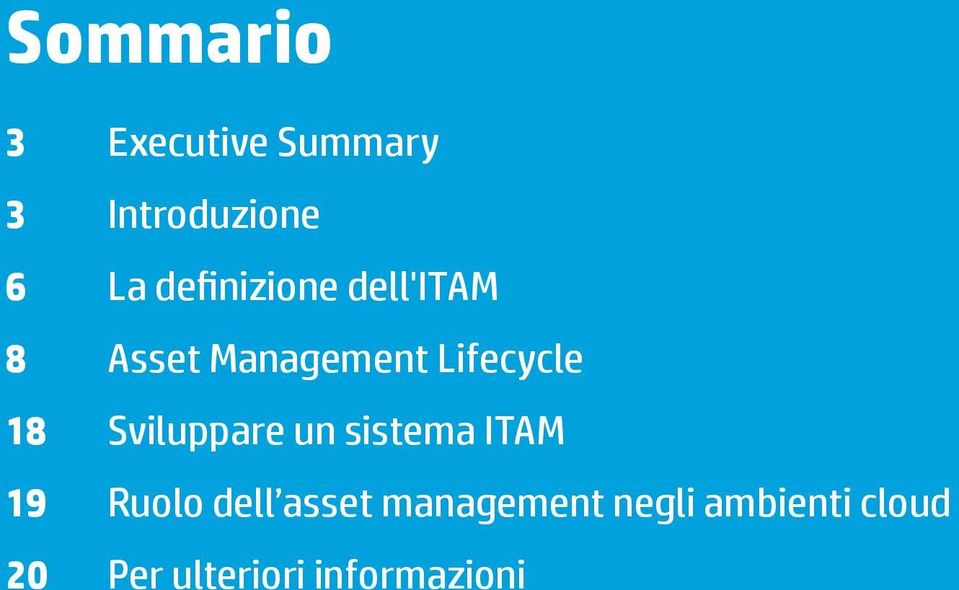 18 Sviluppare un sistema ITAM 19 Ruolo dell asset