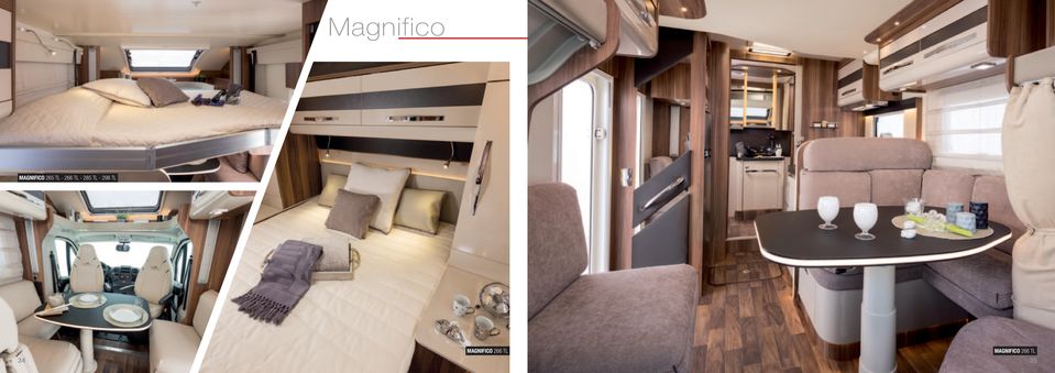 298 TL 34 MAGNIFICO 266