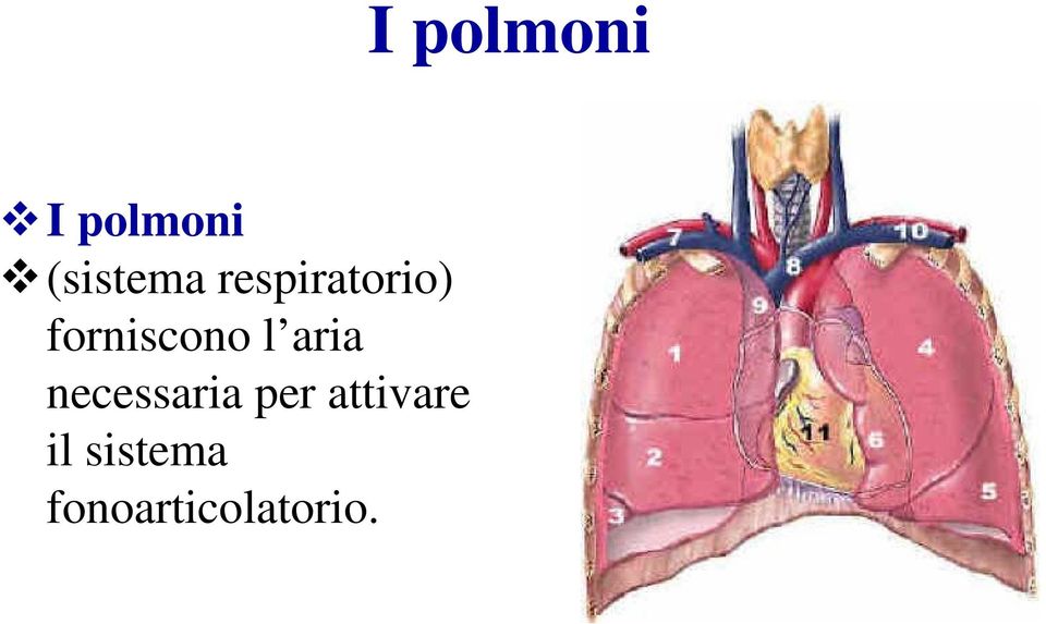 aria necessaria per attivare