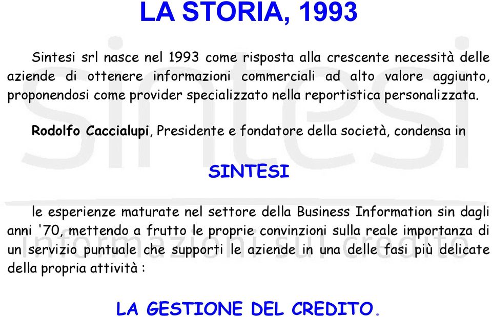 Rodolfo Caccialupi, Presidente e fondatore della società, condensa in SINTESI le esperienze maturate nel settore della Business Information sin