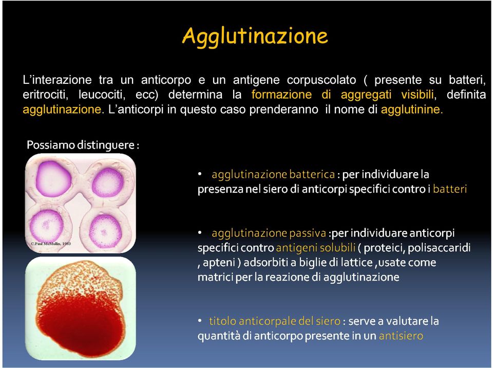 determina la formazione di aggregati visibili, definita