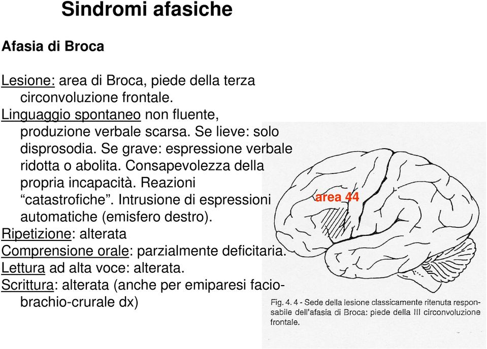 Se grave: espressione verbale ridotta o abolita. Consapevolezza della propria incapacità. Reazioni catastrofiche.